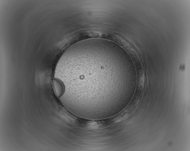 X0000094460616200711151451