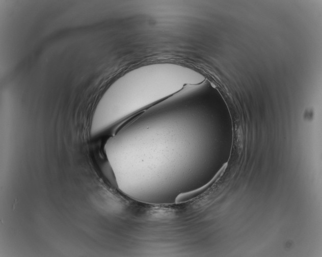 X0000094460617200711151451