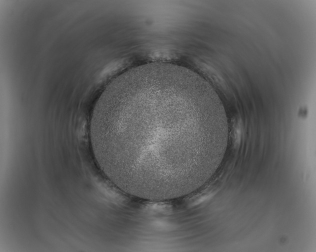 X0000094460619200711151451