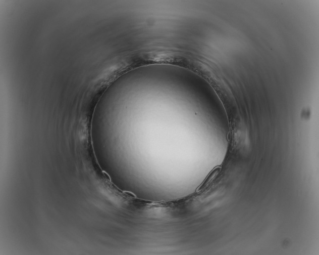 X0000094460620200711151451