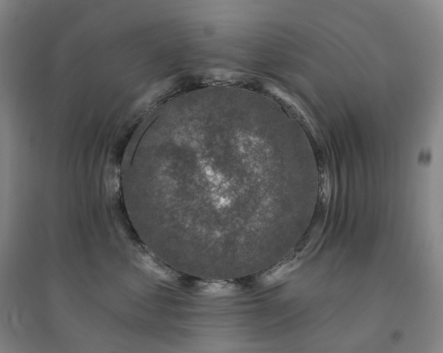 X0000094460621200711151451