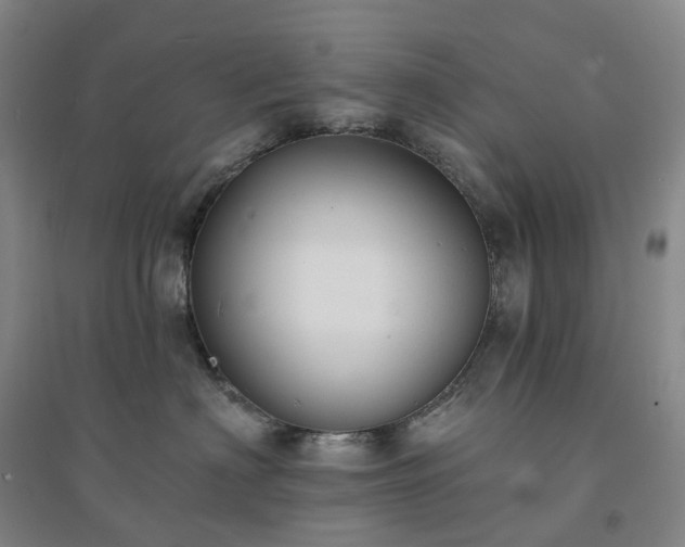 X0000094460622200711151451