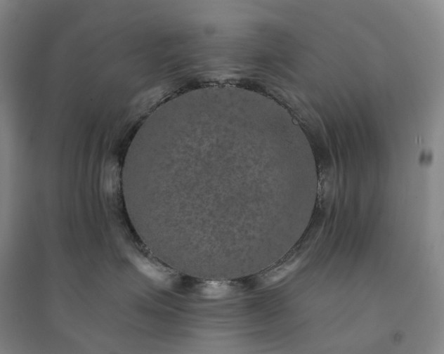 X0000094460623200711151451