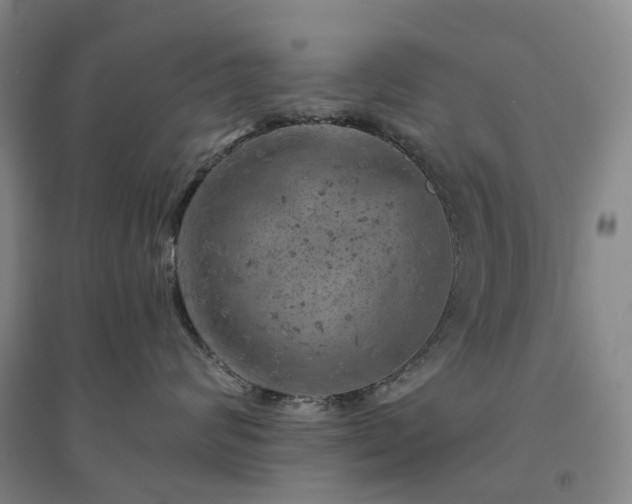 X0000094460624200711151451