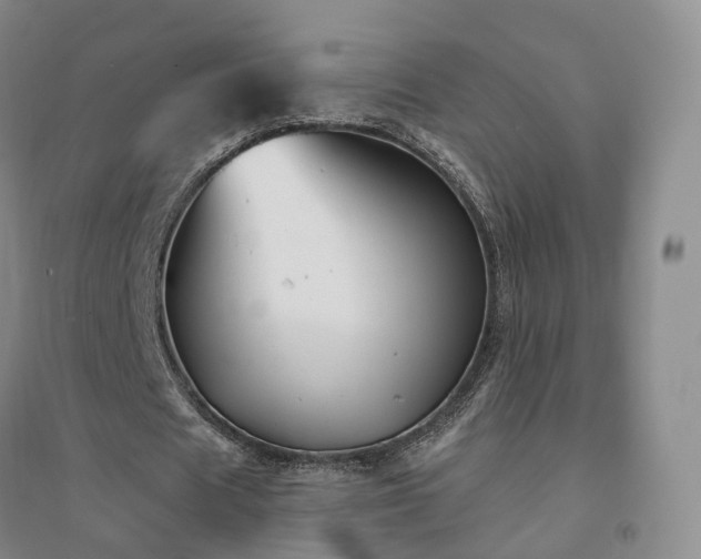 X0000094460625200711151450