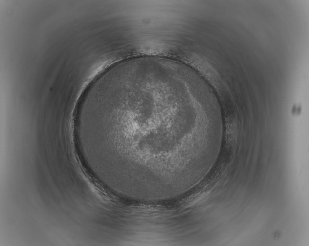 X0000094460626200711151450