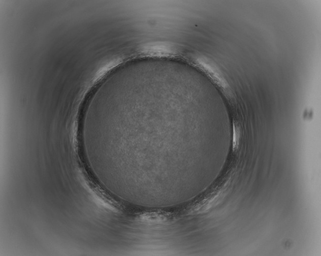 X0000094460627200711151450