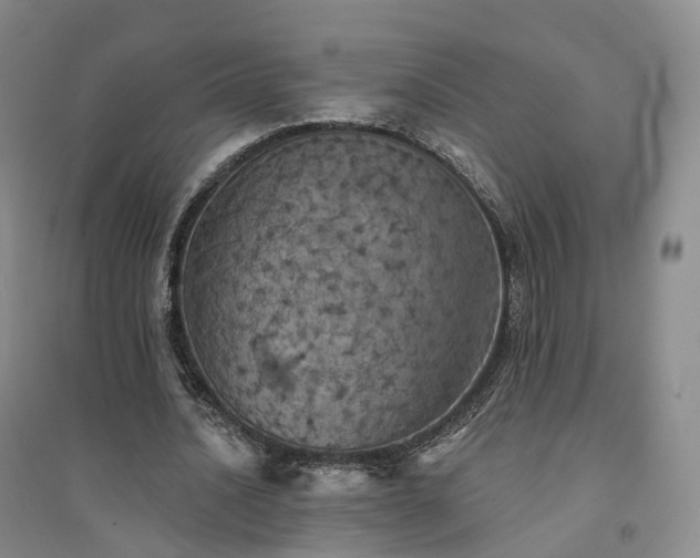 X0000094460628200711151450