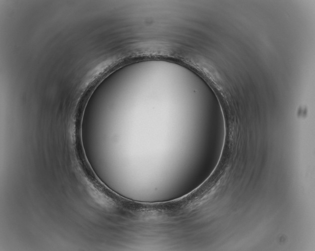 X0000094460629200711151450