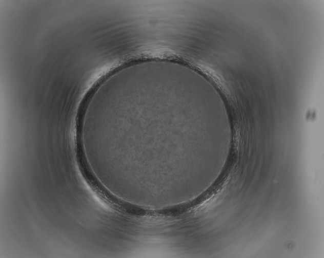 X0000094460630200711151450