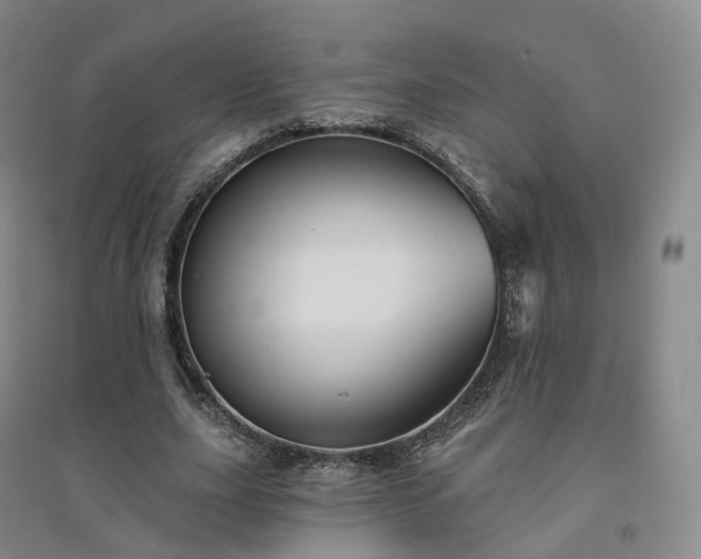 X0000094460631200711151451