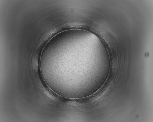 X0000094460633200711151451