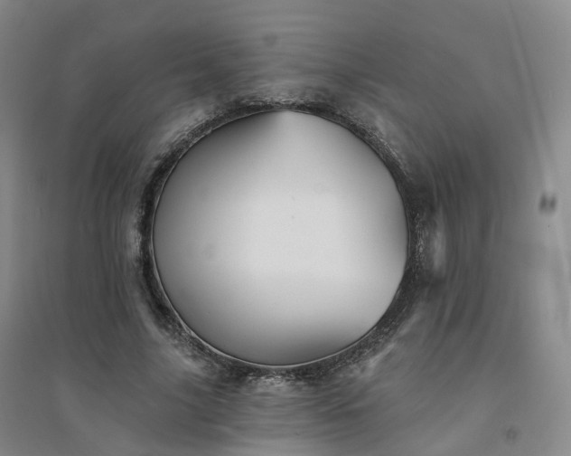 X0000094460635200711151451