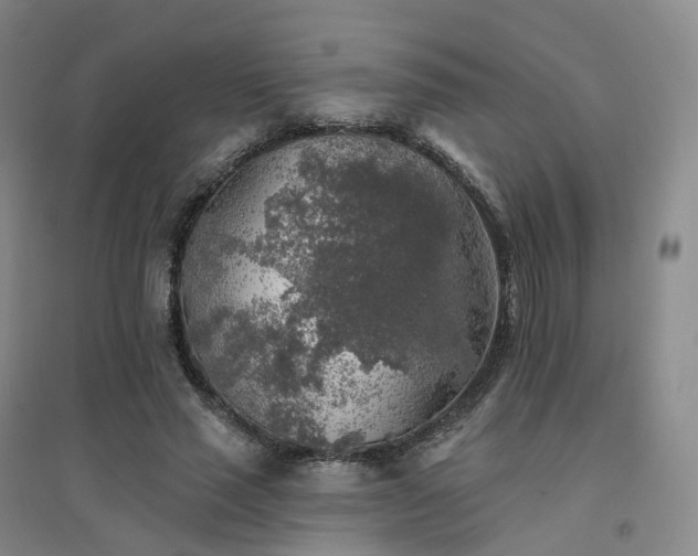 X0000094460637200711151451