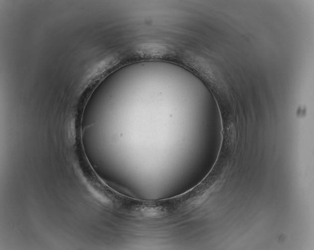 X0000094460638200711151451
