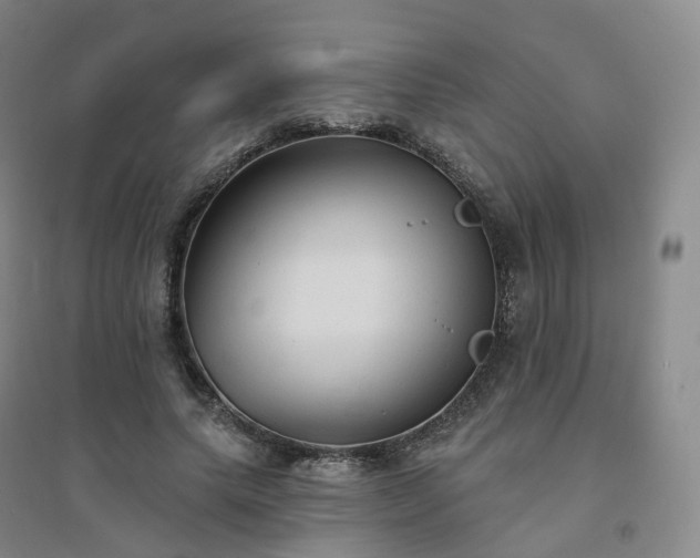 X0000094460639200711151451