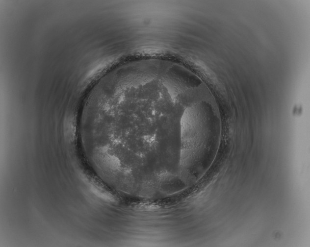X0000094460640200711151451