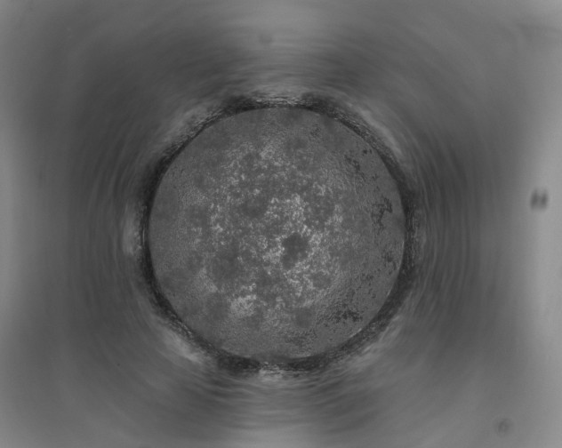 X0000094460641200711151451