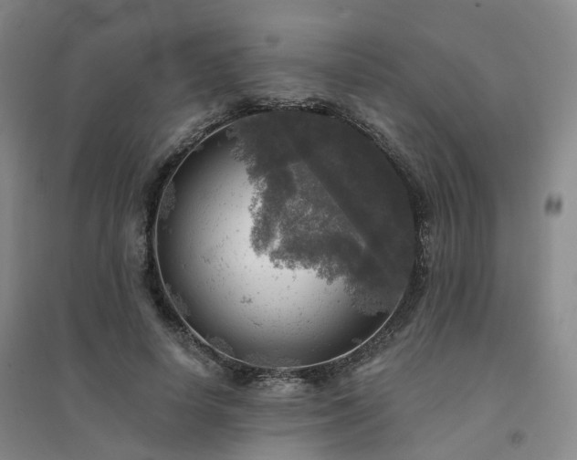 X0000094460642200711151451