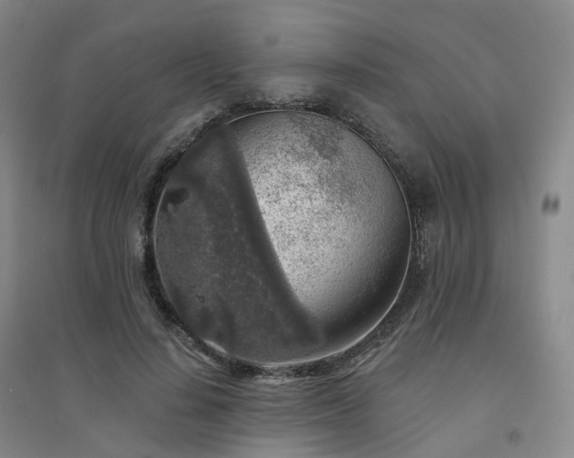 X0000094460644200711151451