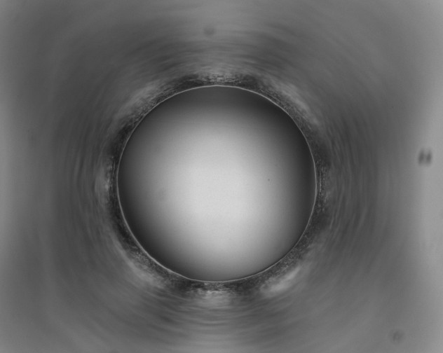 X0000094460645200711151451