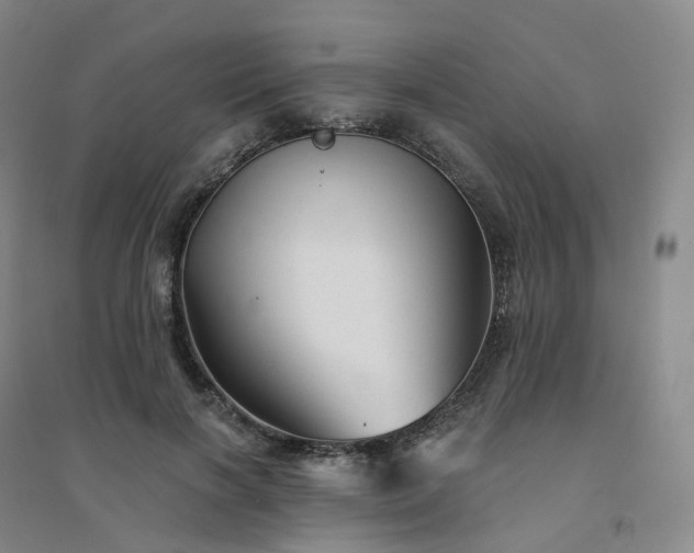 X0000094460646200711151451