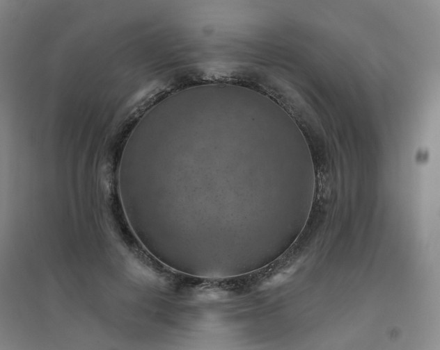 X0000094460648200711151451