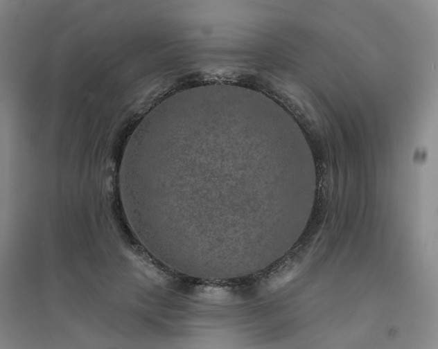 X0000094460649200711151451