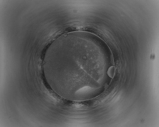 X0000094460650200711151451