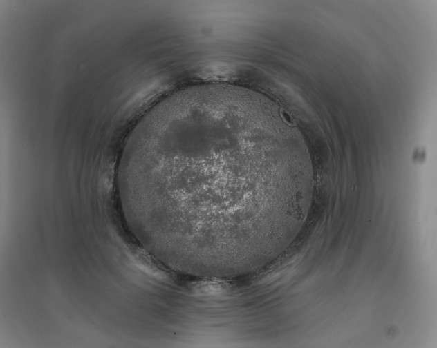 X0000094460652200711151451