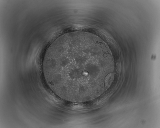 X0000094460653200711151451