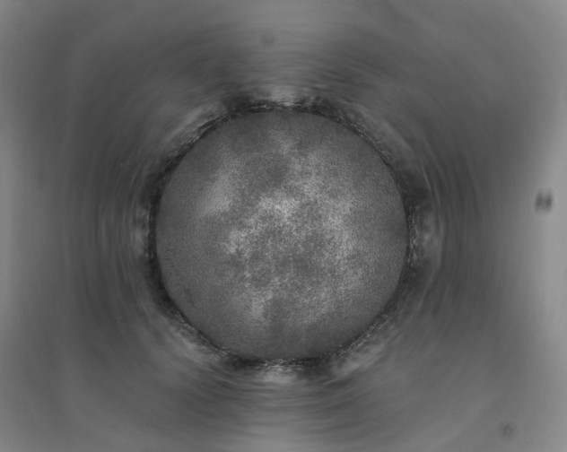 X0000094460656200711151451