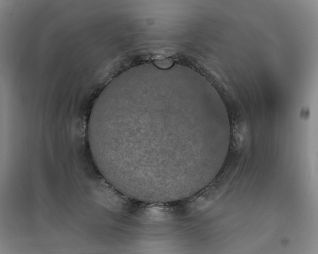 X0000094460657200711151451