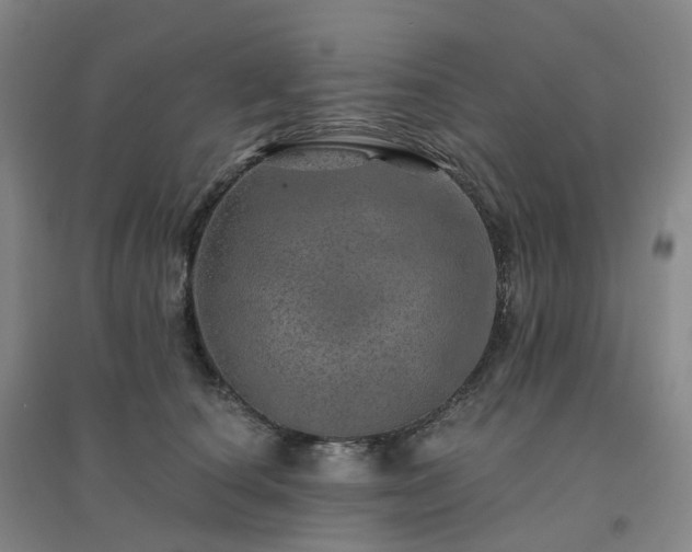 X0000094460660200711151451