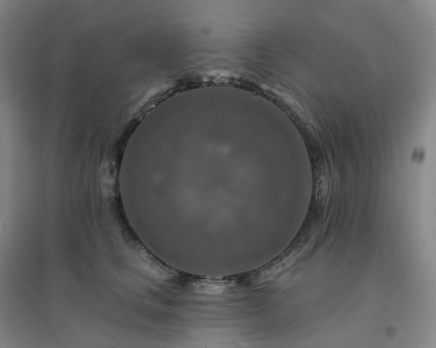 X0000094460661200711151451