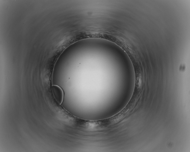 X0000094460662200711151451