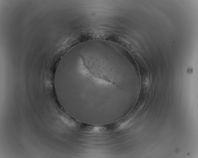 X0000094460663200711151451