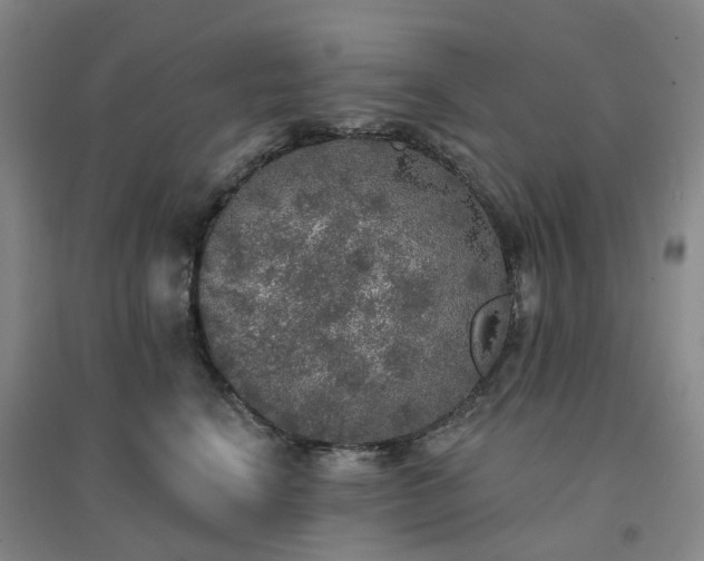 X0000094460664200711151451