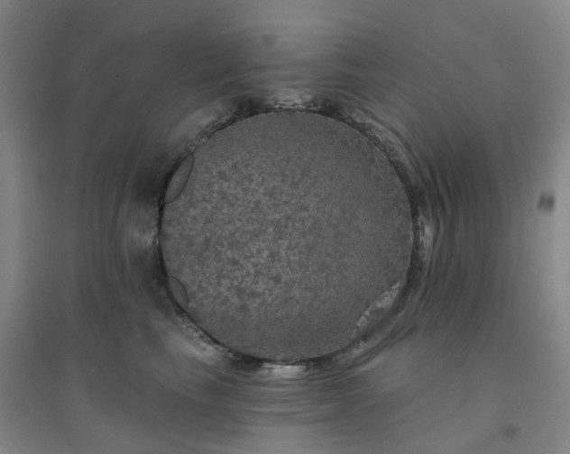 X0000094460665200711151451