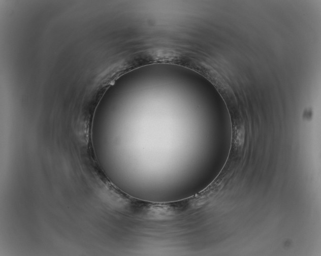 X0000094460666200711151451