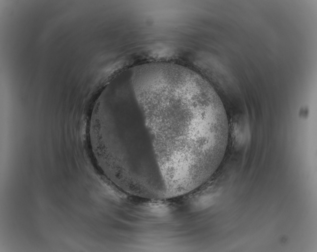 X0000094460668200711151451