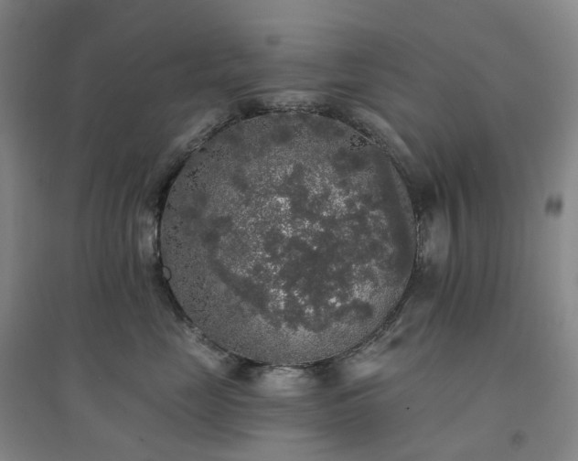 X0000094460669200711151451