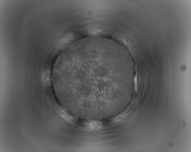 X0000094460670200711151451