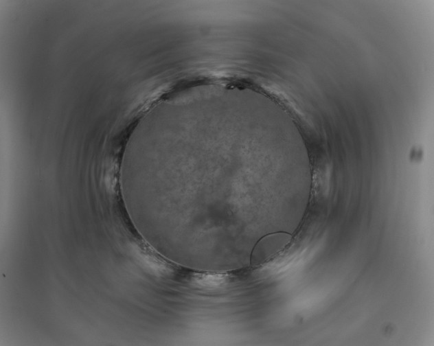 X0000094460671200711151451