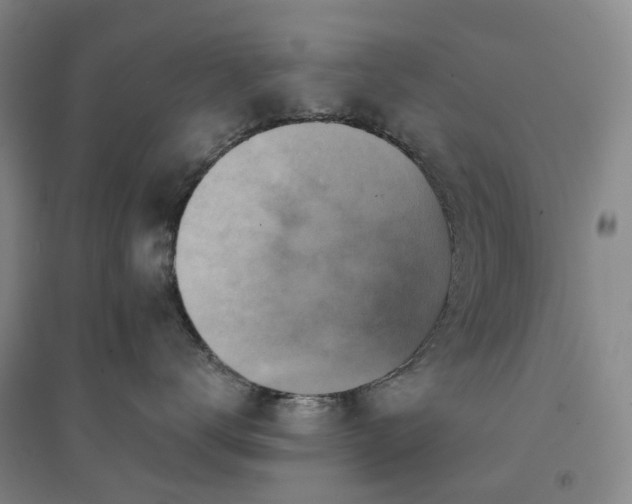 X0000094460672200711151451