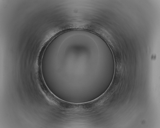 X0000094460674200711151450