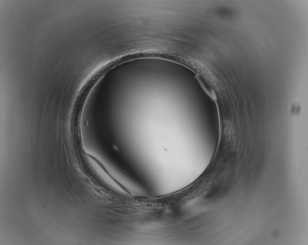X0000094460676200711151450