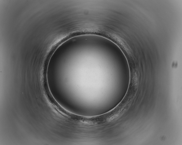 X0000094460677200711151450