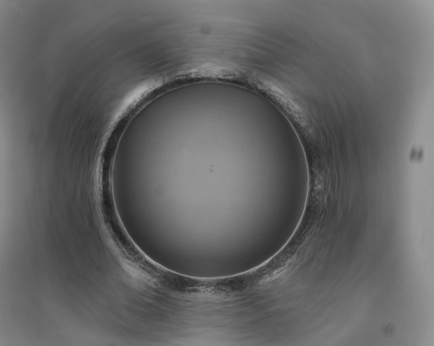 X0000094460678200711151450