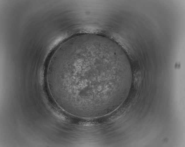 X0000094460679200711151450